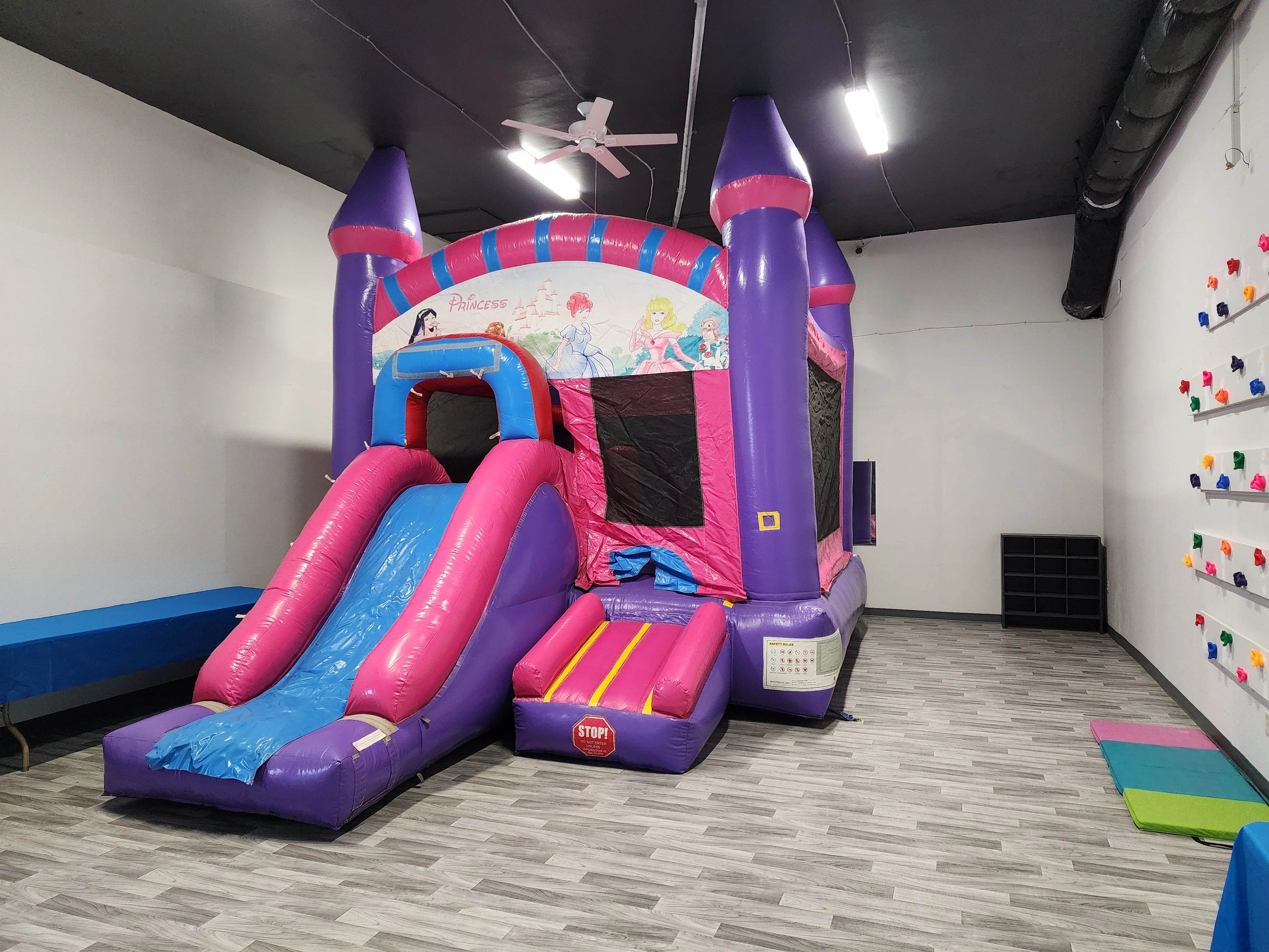 Party Room with Princess Bouncer 