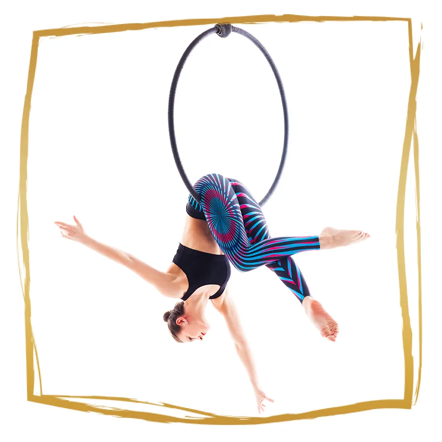 Adult Aerial Class 18+