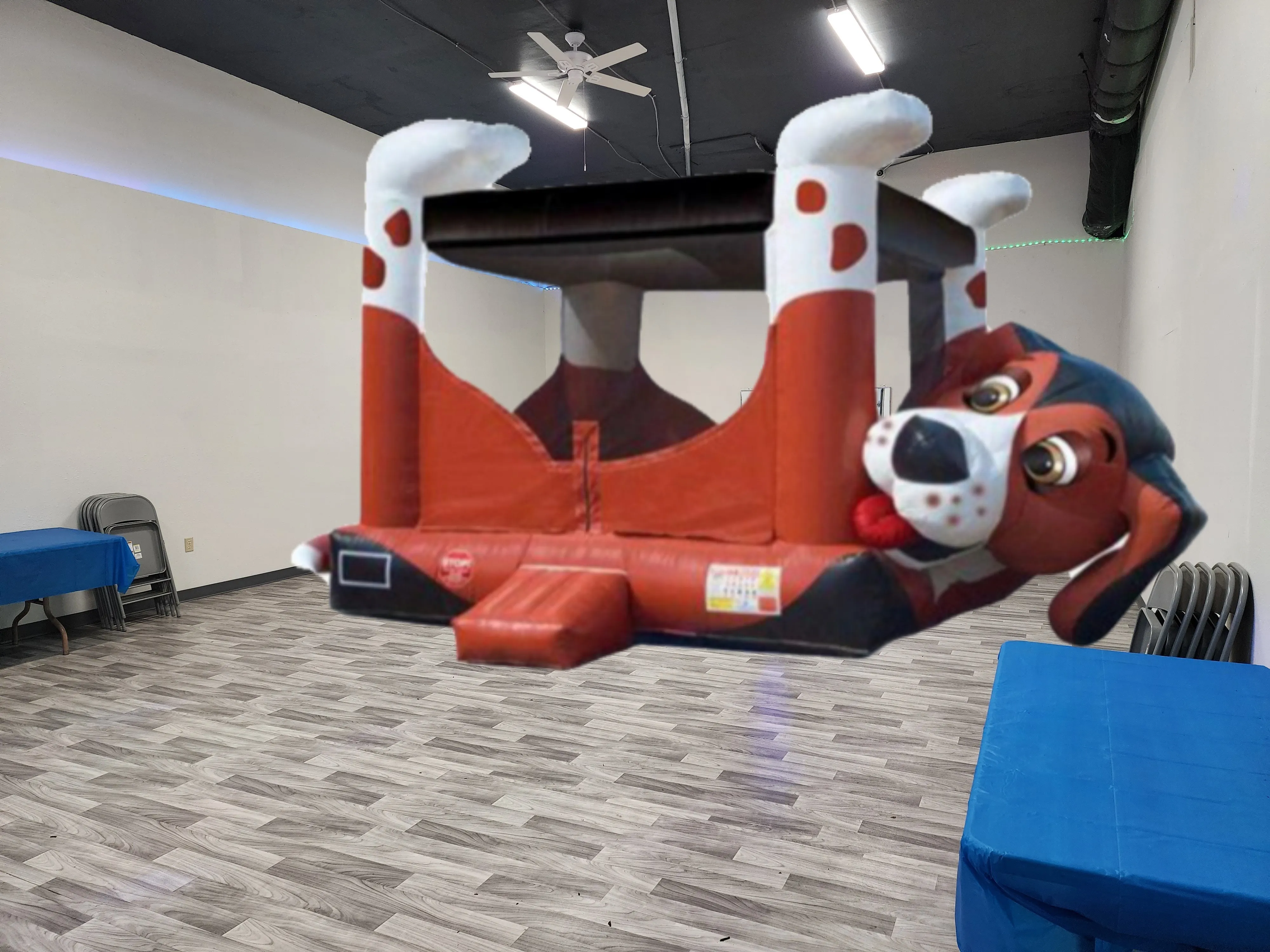 Party Room with Dog Bouncer 