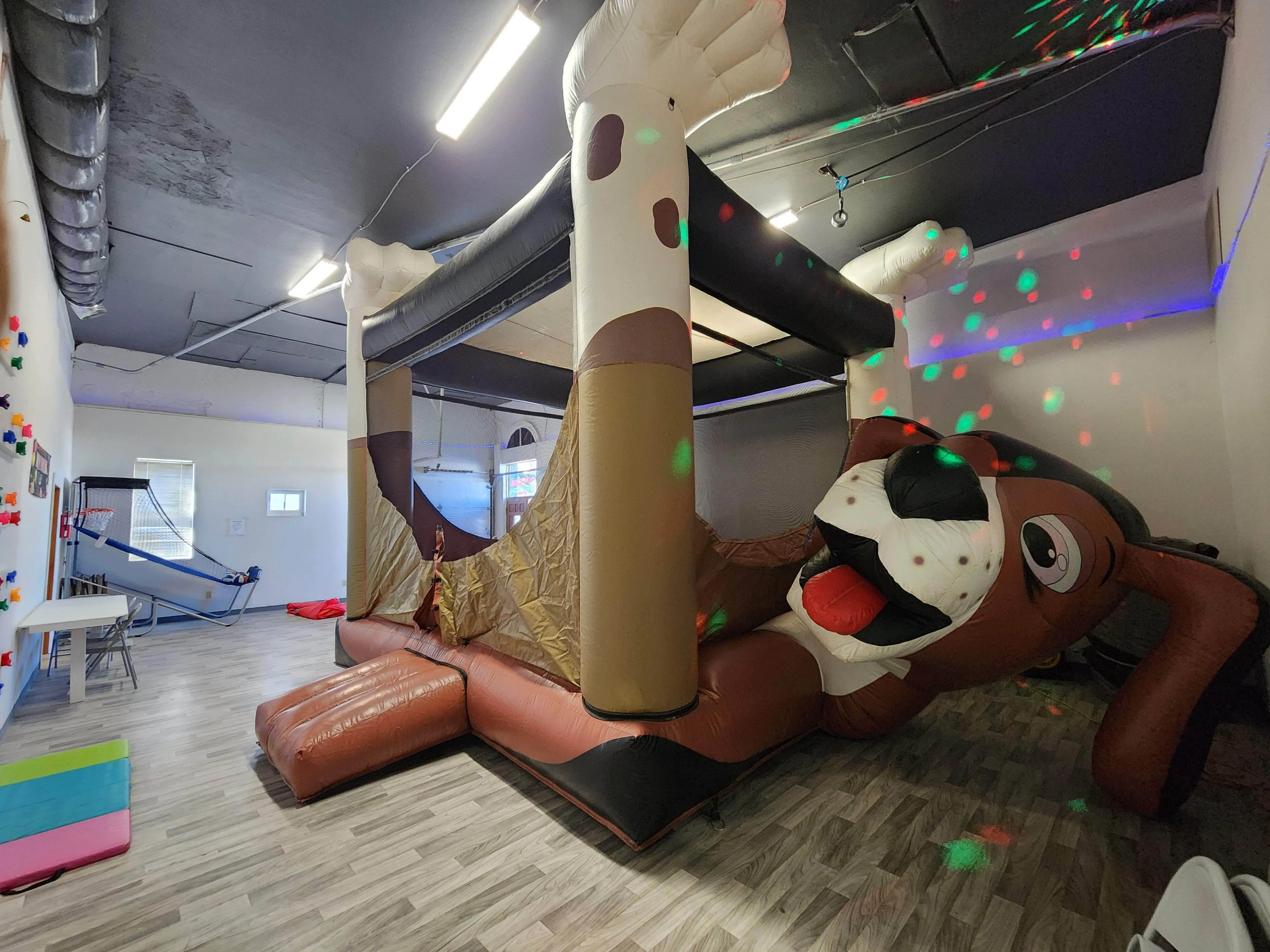 Party room with Dog bouncer