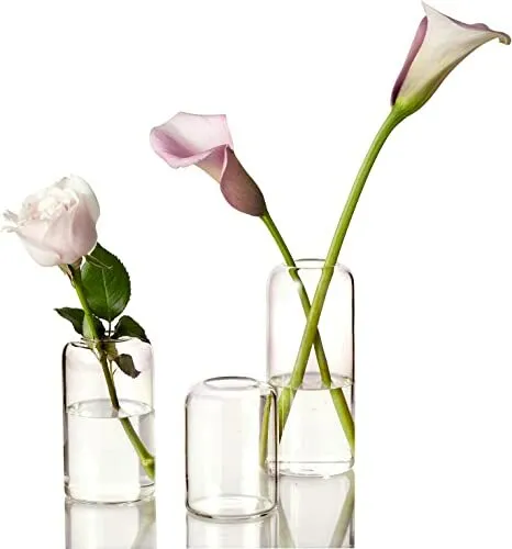 ZENS Bud Vases Glass Set