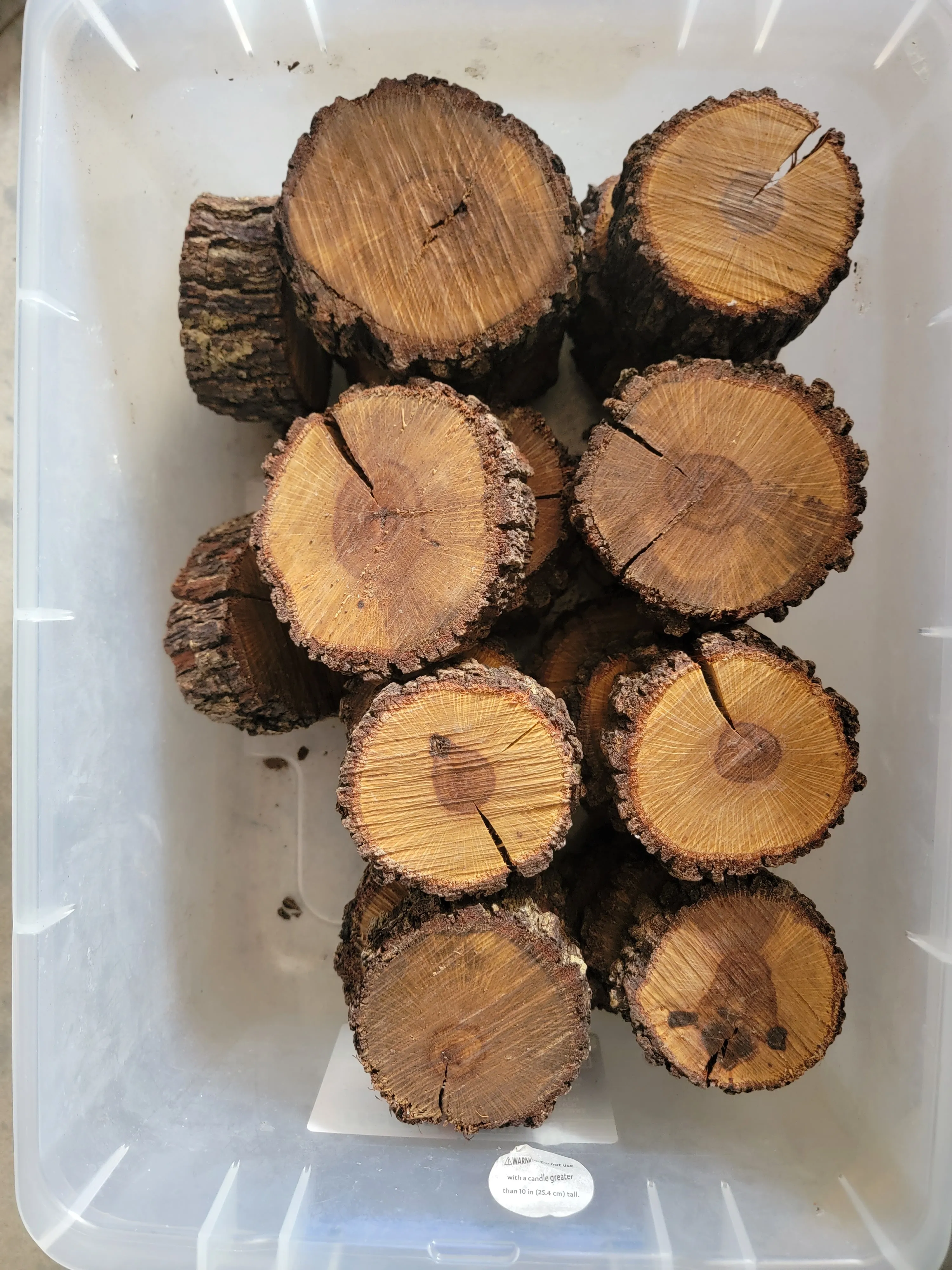 Rough Edge Wood Coasters