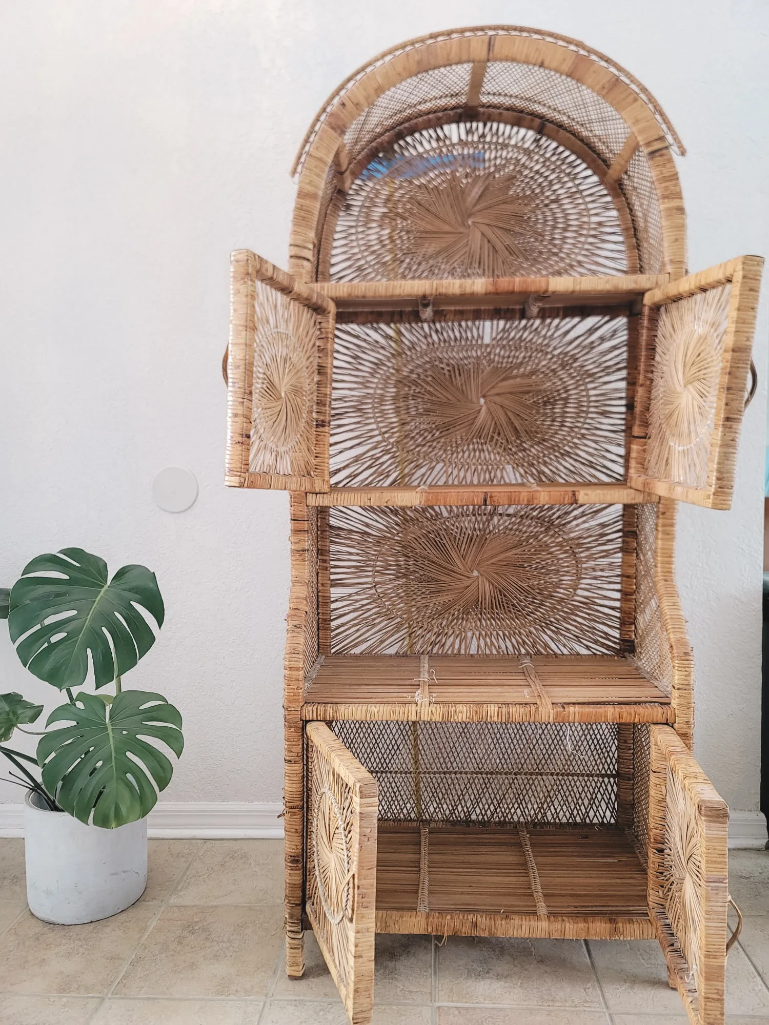 Rattan Shelves with doors