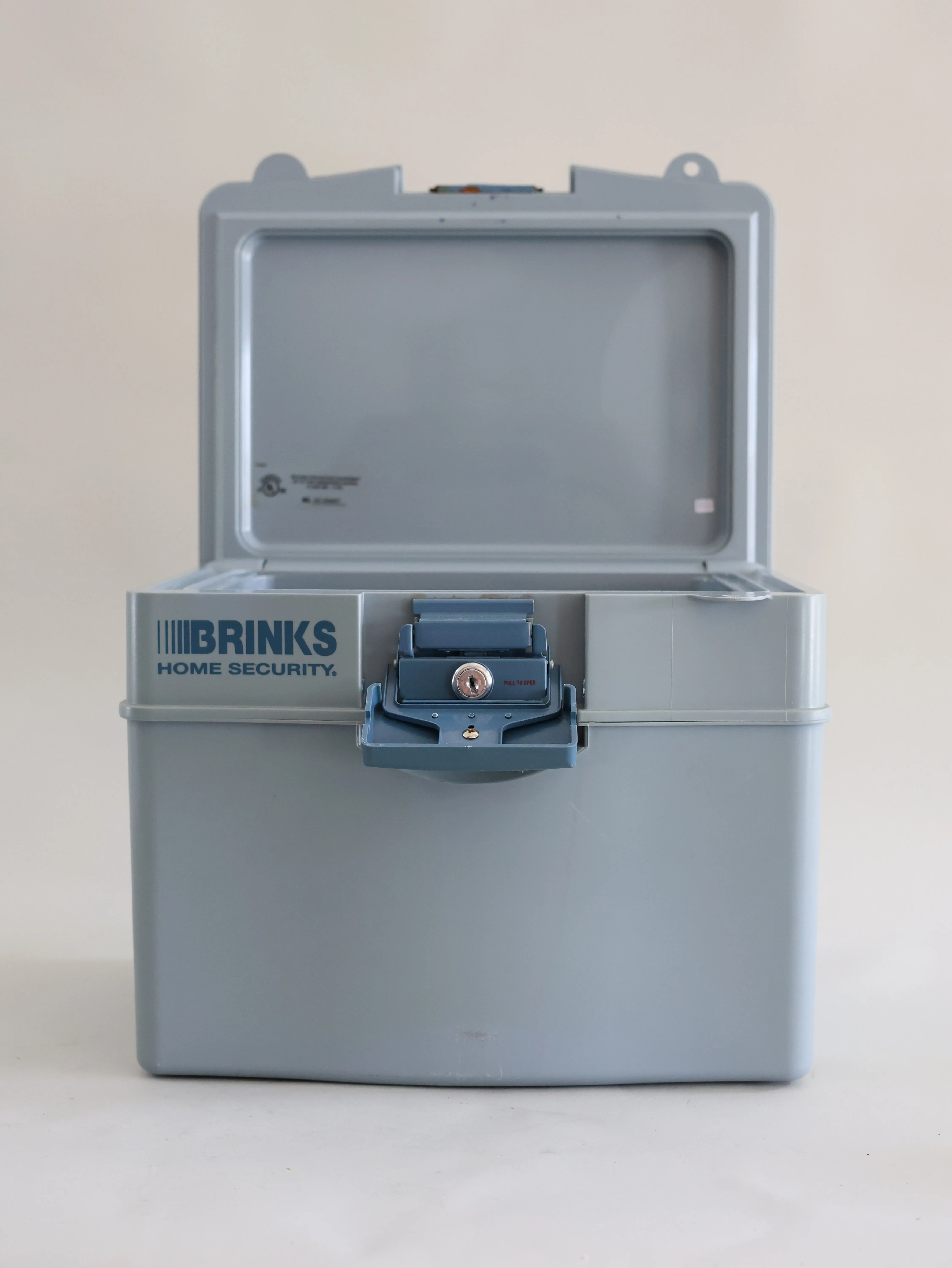 Blue Security Safe Box Rinks