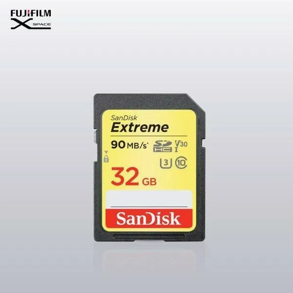 SanDisk 32 GB 90mbps SD Card 