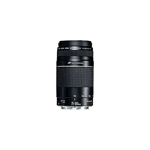 Canon EF 75-300mm f/4-5.6 III Lens