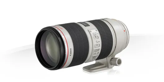 Canon EF 70-200mm f/2.8L IS III USM (LENS)