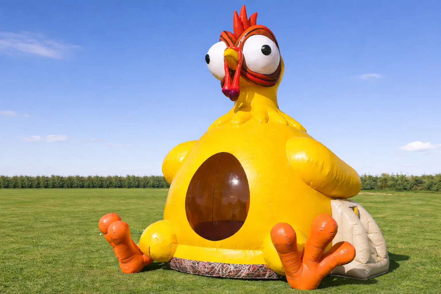 Chicken Bouncer