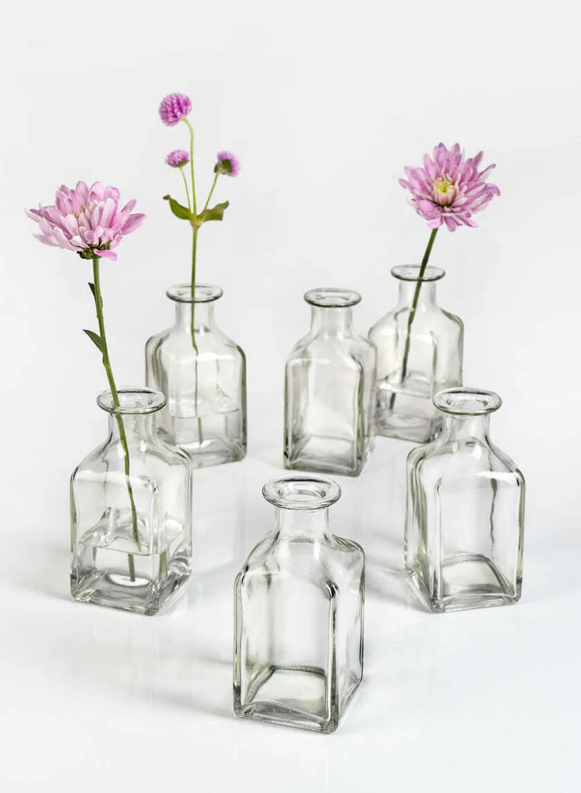 Bud Vases Clear 