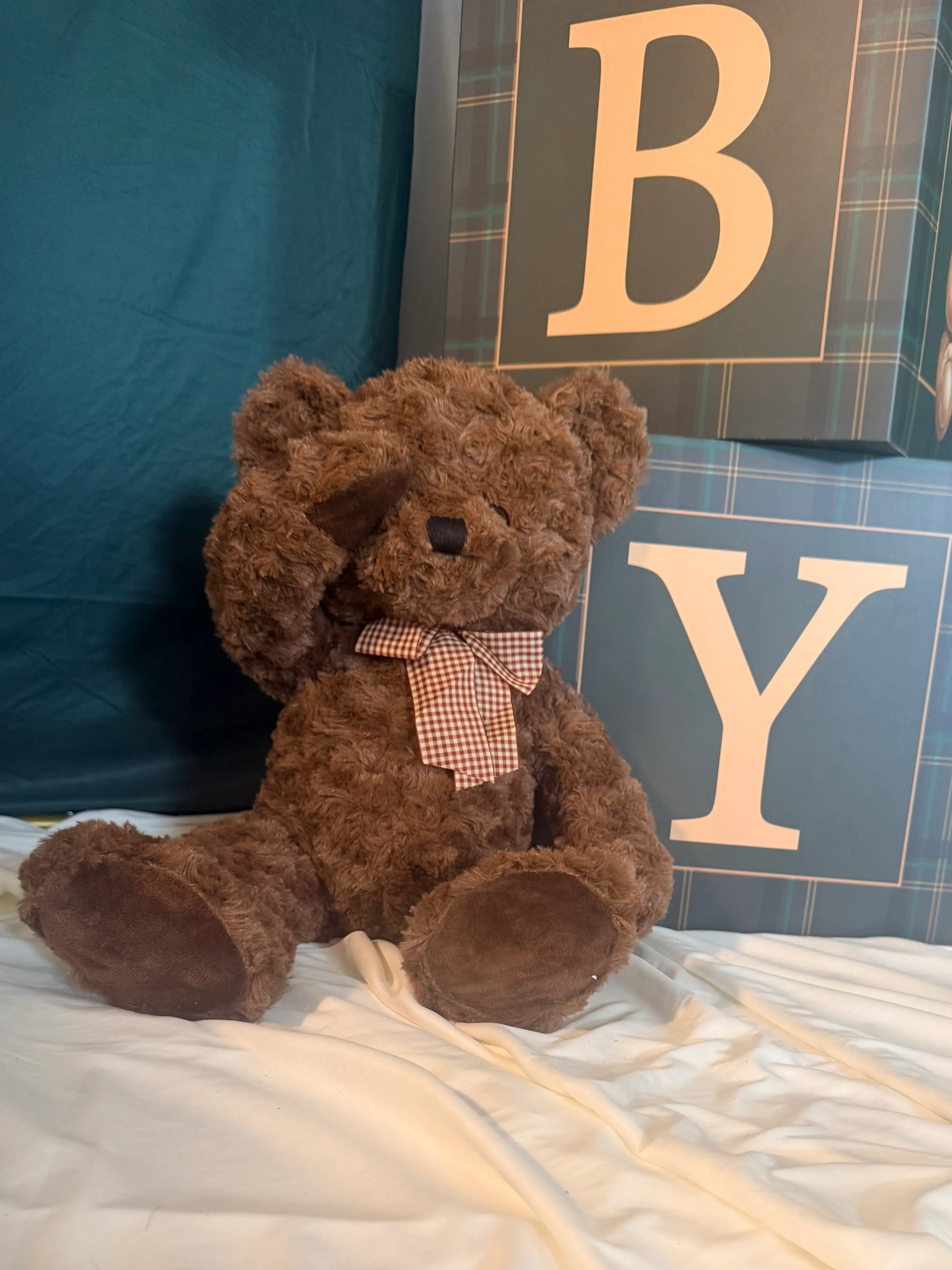 Teddy Bear 