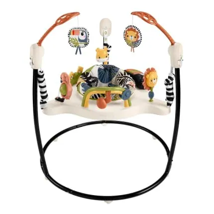 Fisher-Price Jumperoo Baby Activity Center