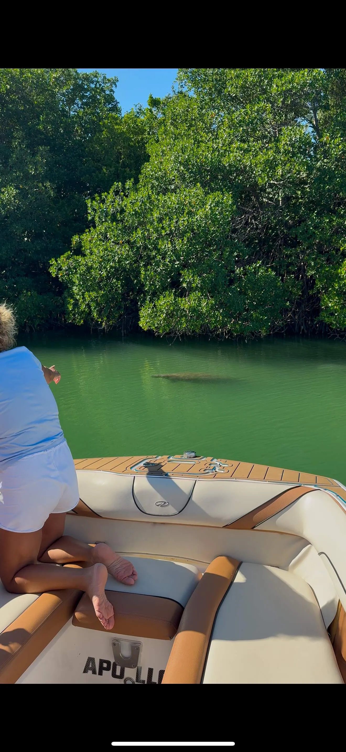 Mangrove Wildlife Tour