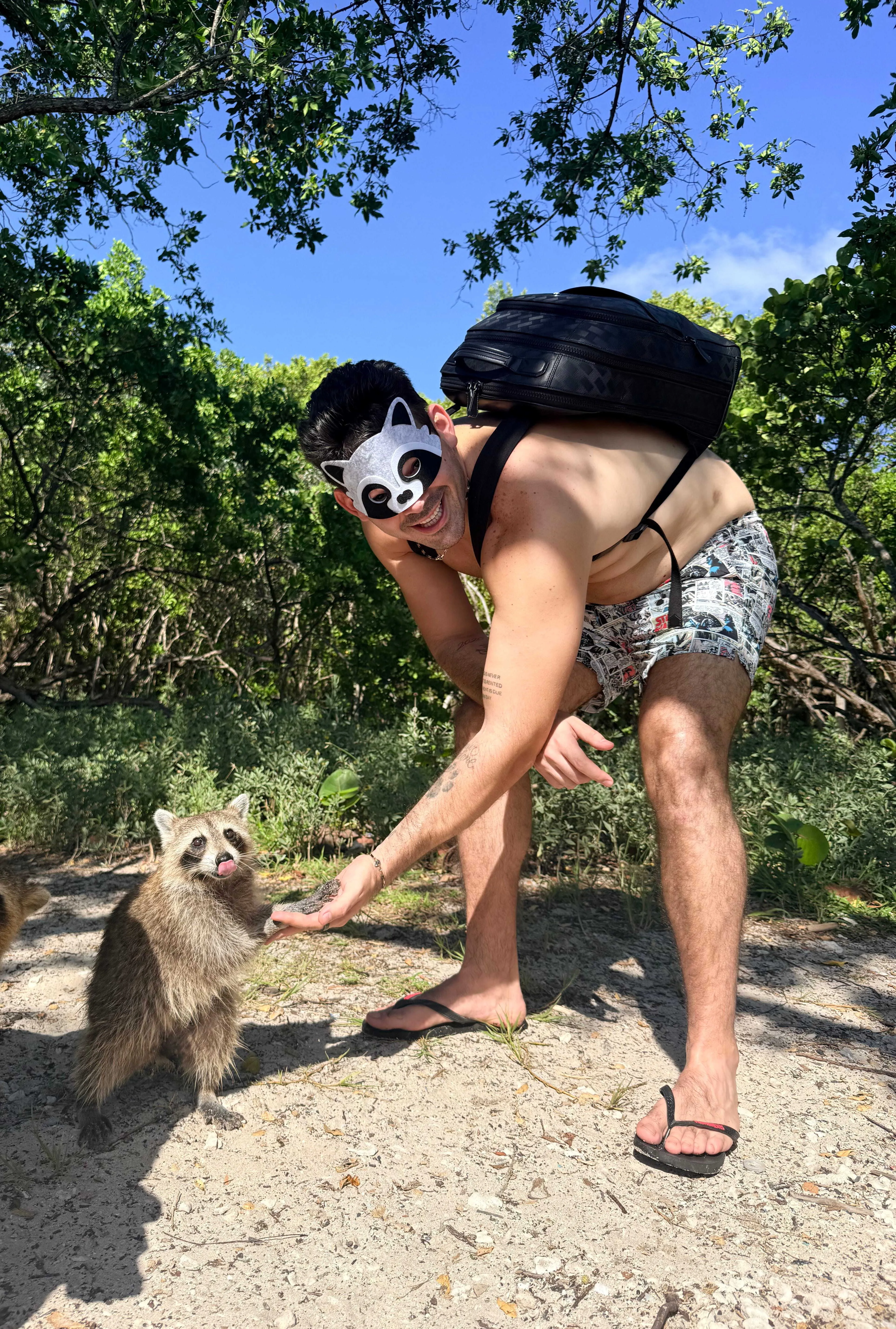 Raccoon Island