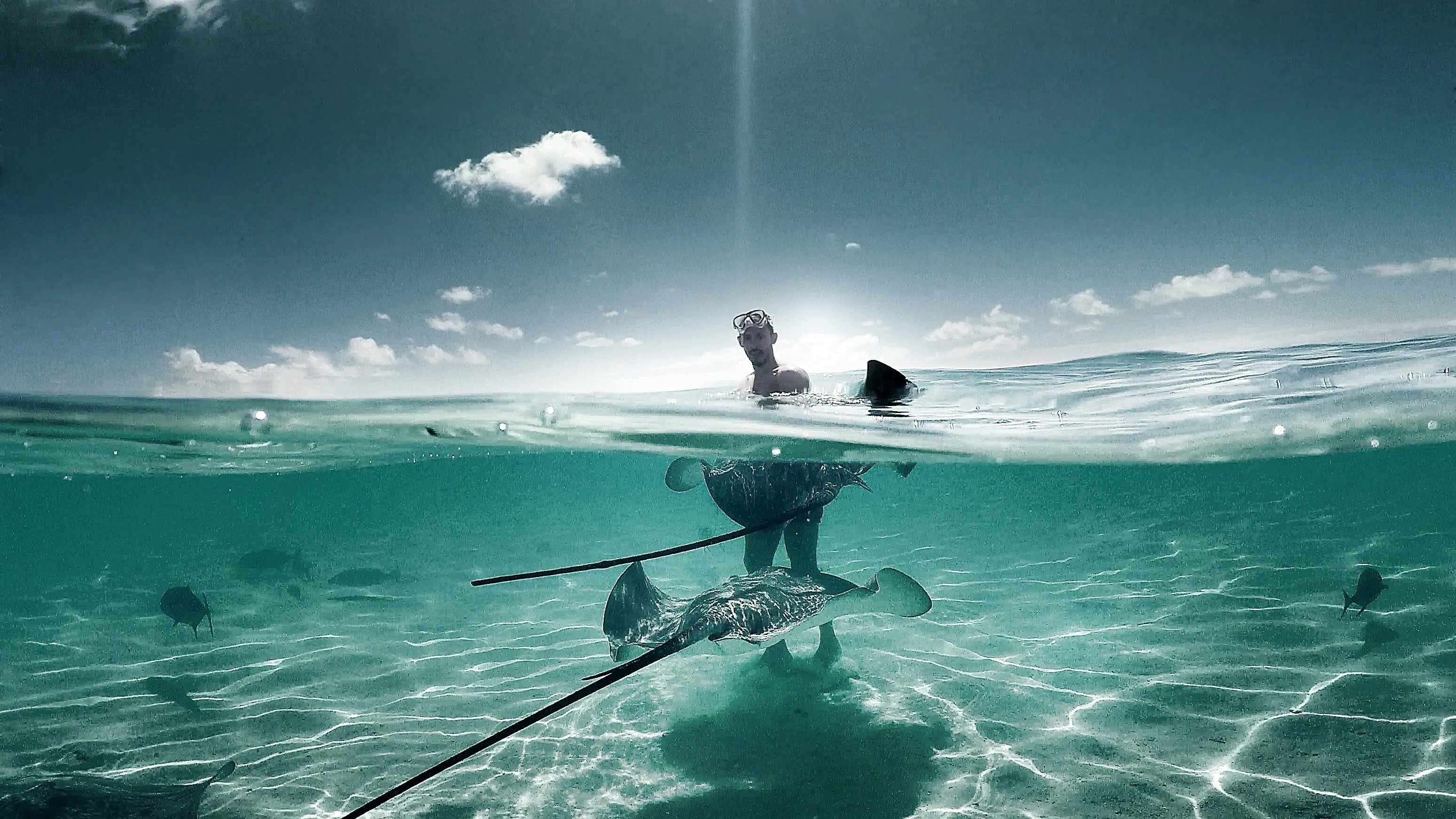 Bimini Bahamas Day Trip