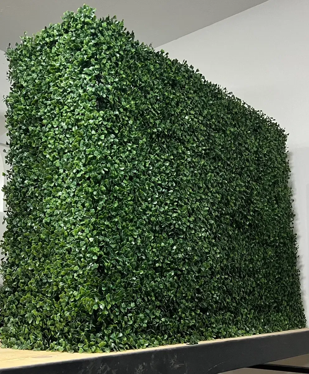 Boxwood Green Tabletop Background