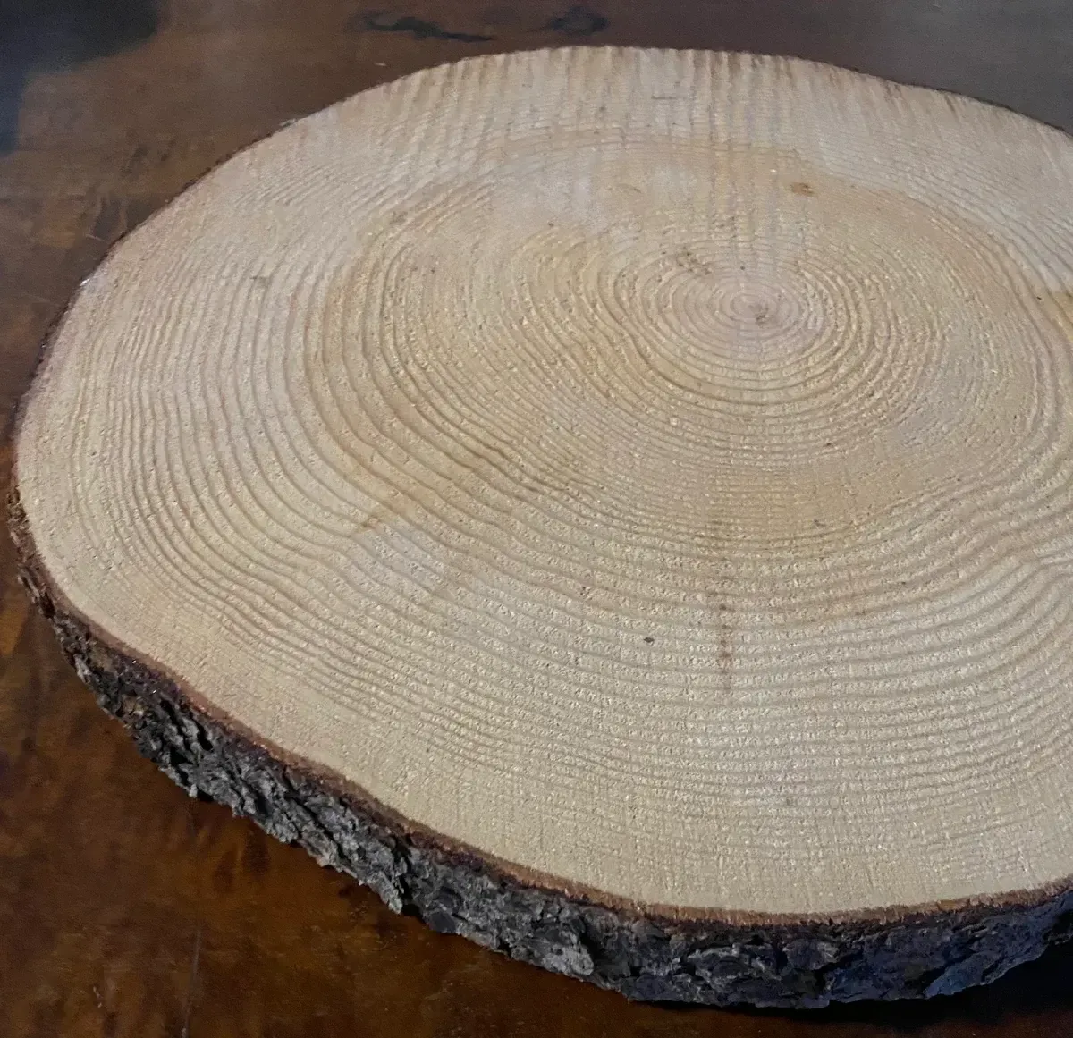 Round wood slice natural