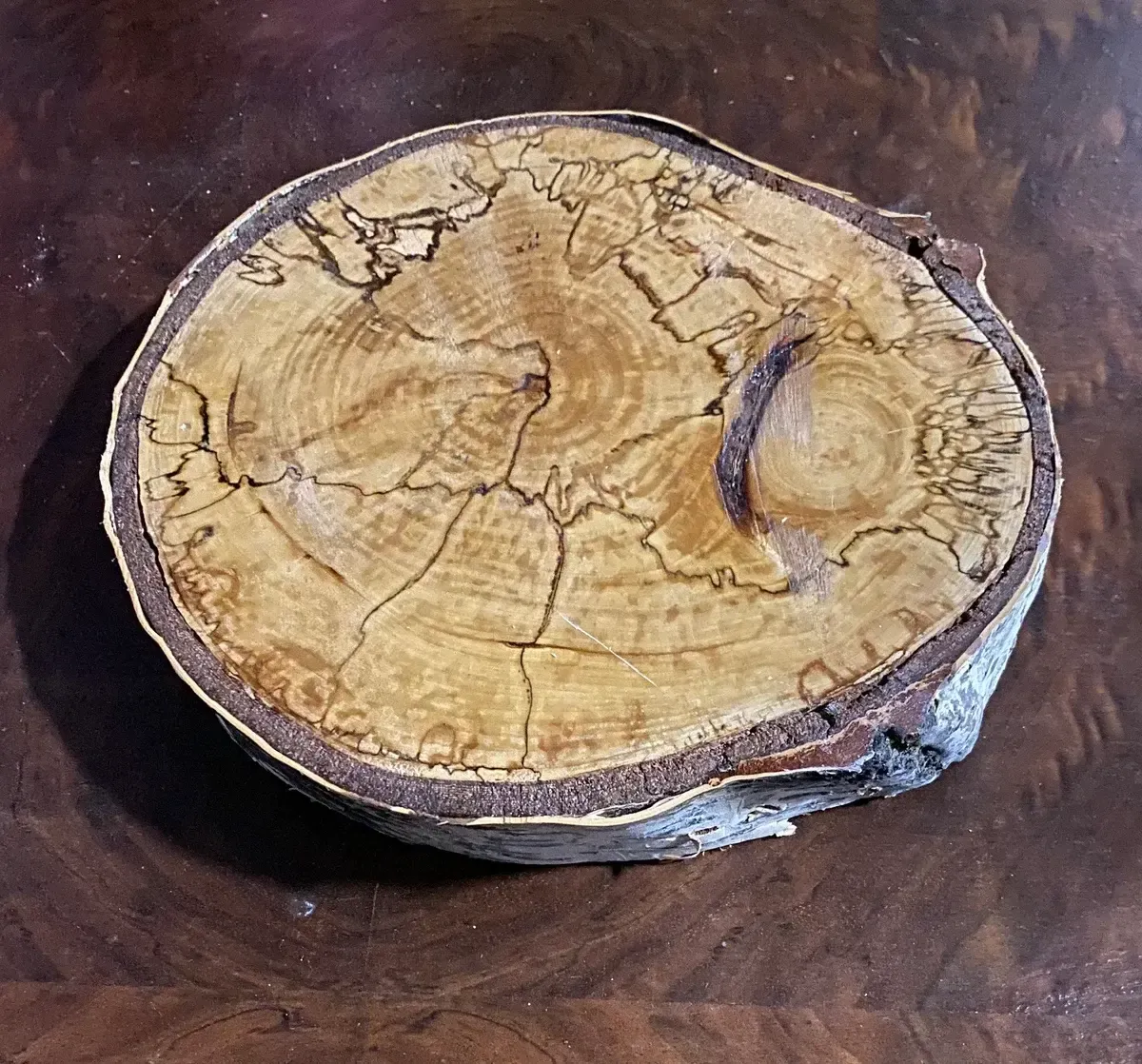 Birch wood round