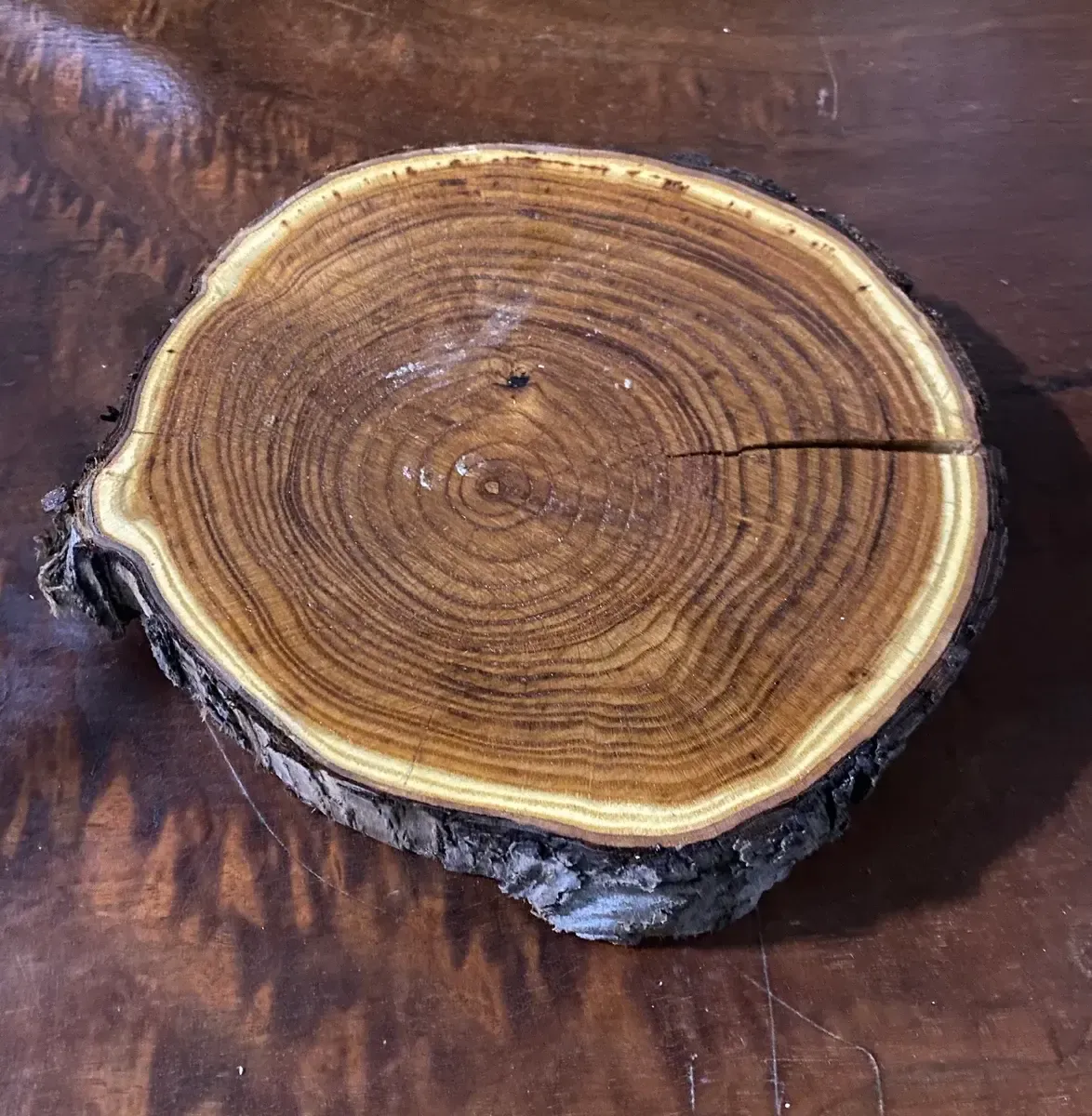 Olive wood sealed wood round