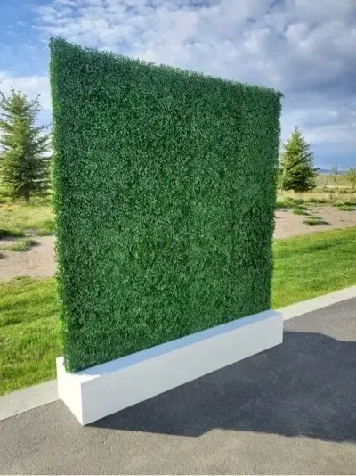 Boxwood Green Backdrop