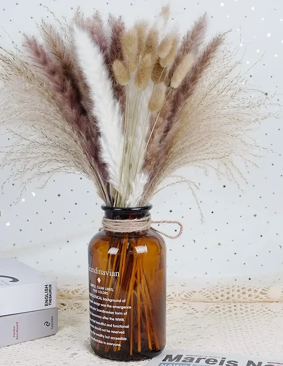 Pampas grass med 15" - 17" set of 30