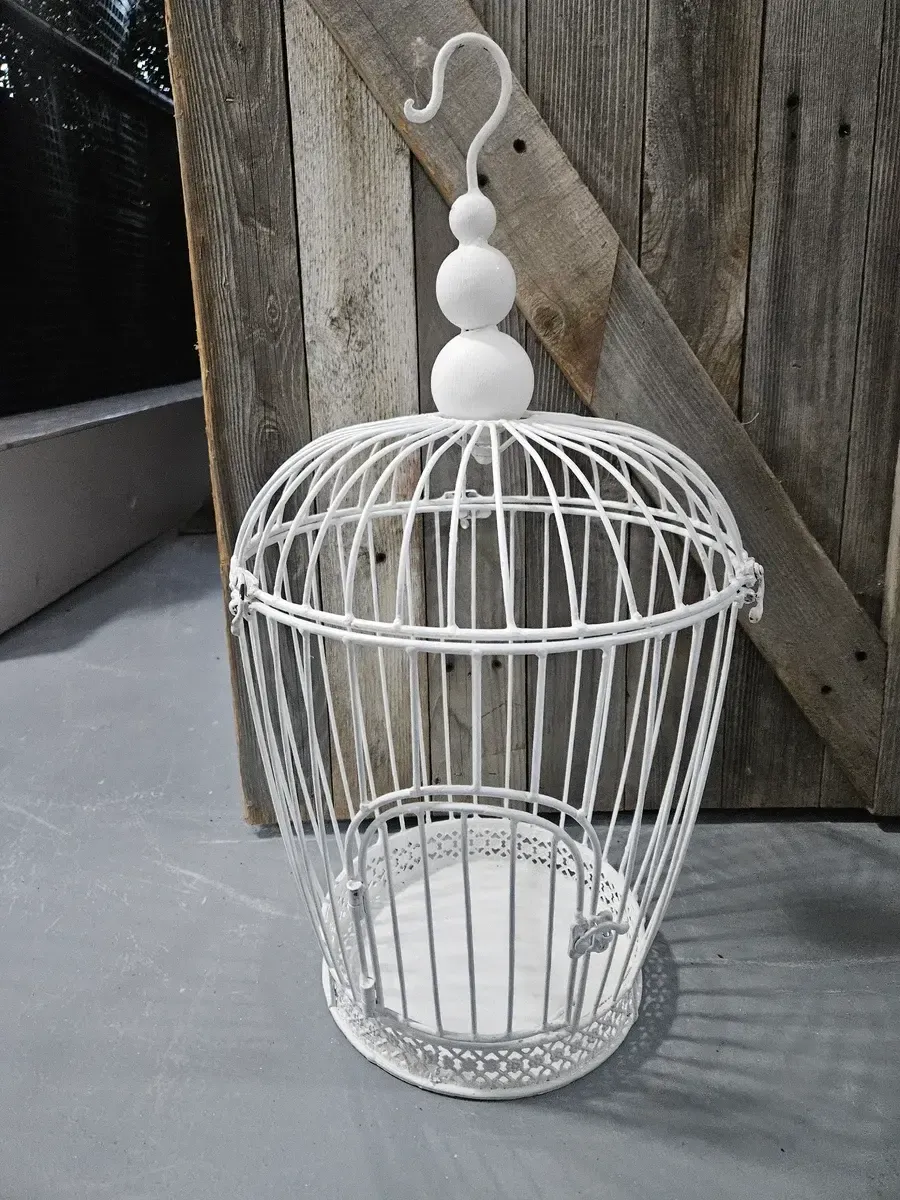 White bird cage