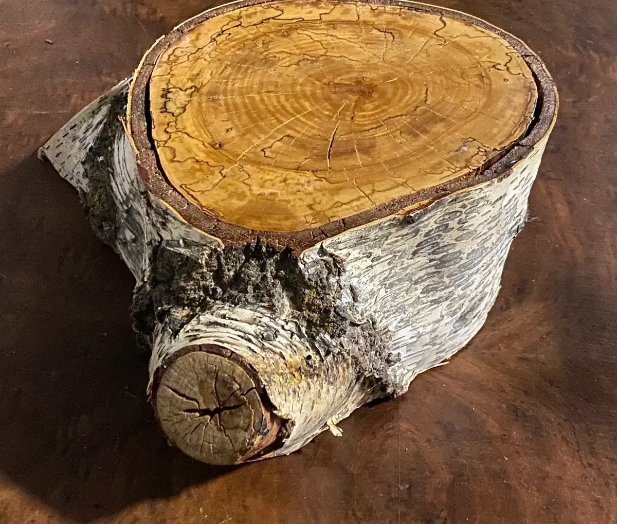 Birch riser/ pedastal