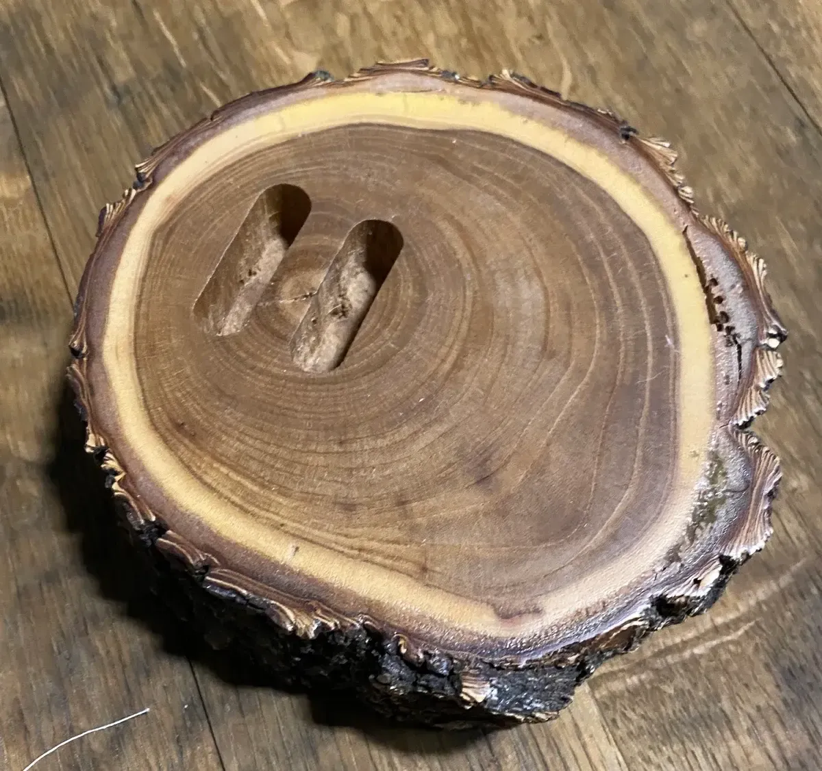 Ring wood slice rental
