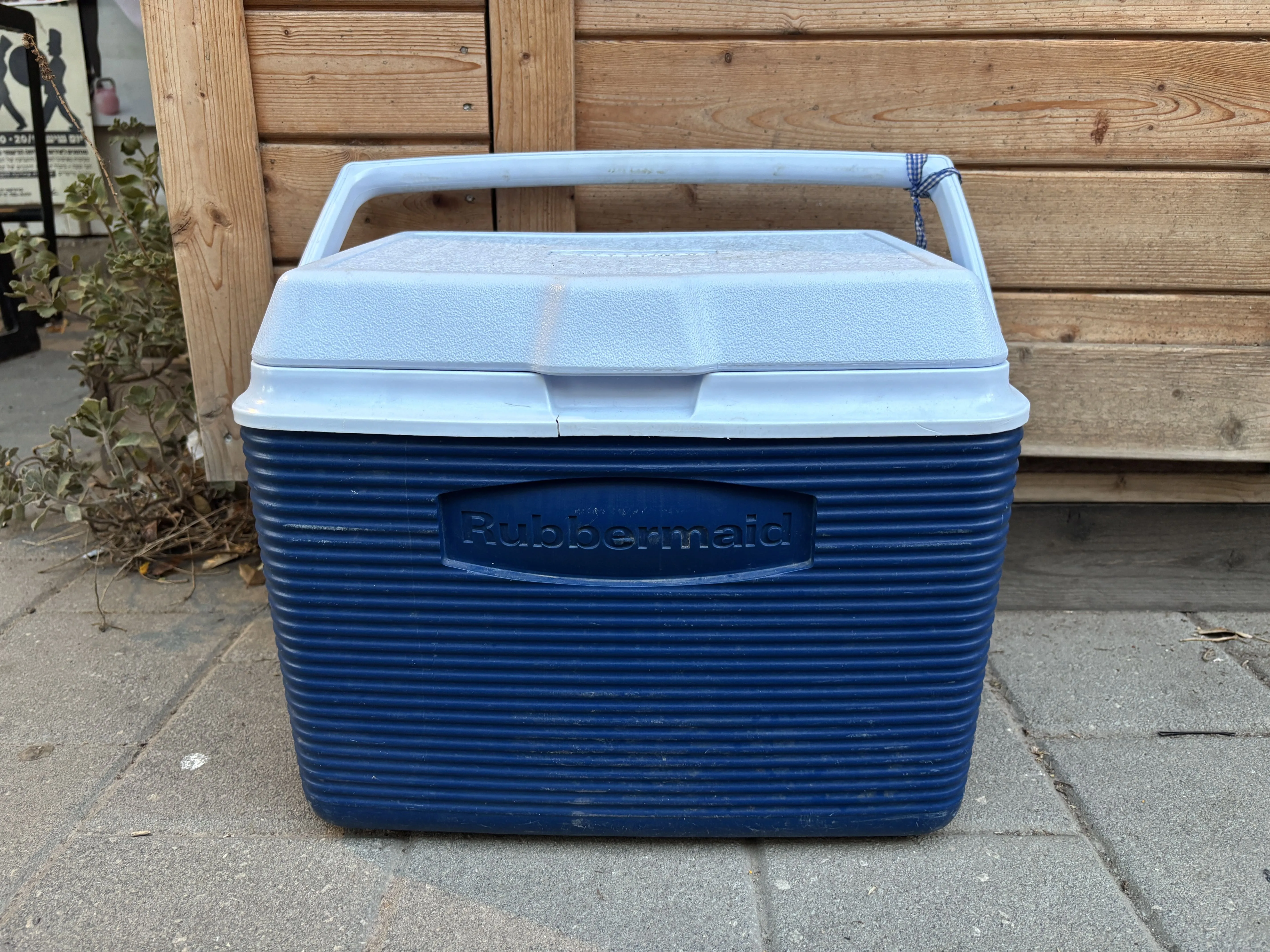 צידנית קשיחה קטנה