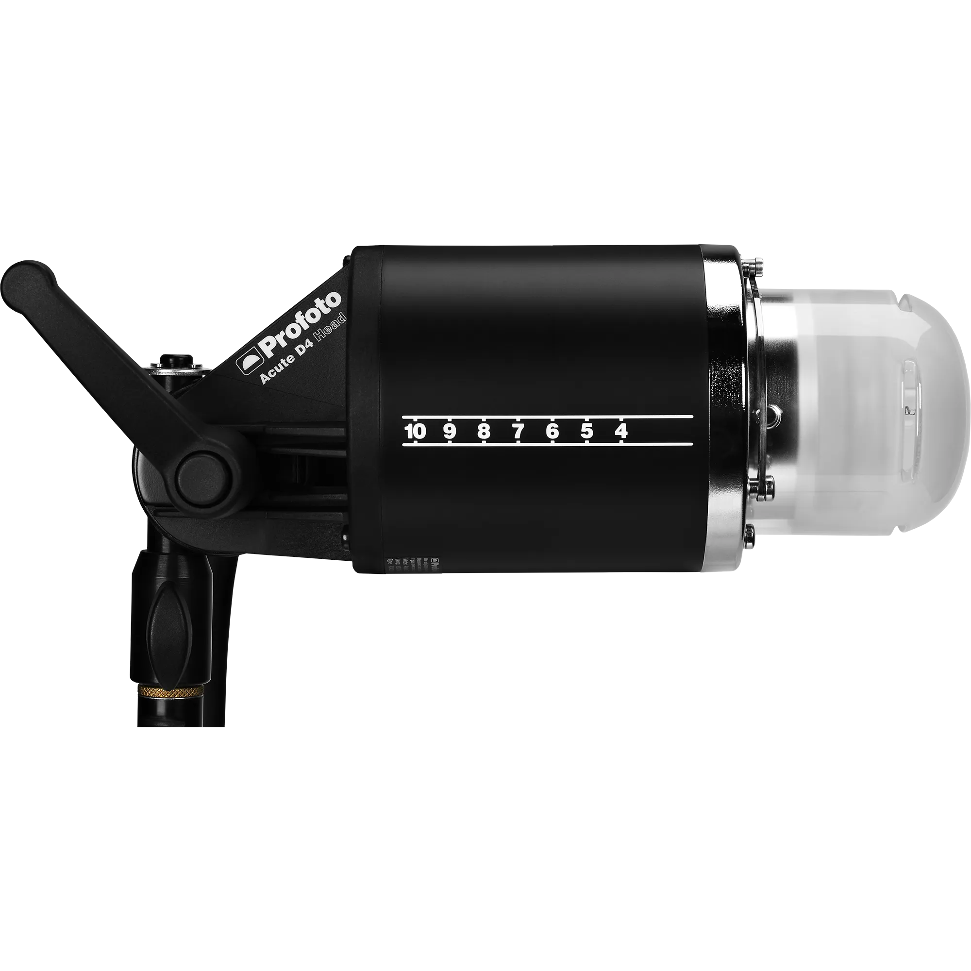 Profoto D4 2400w Head