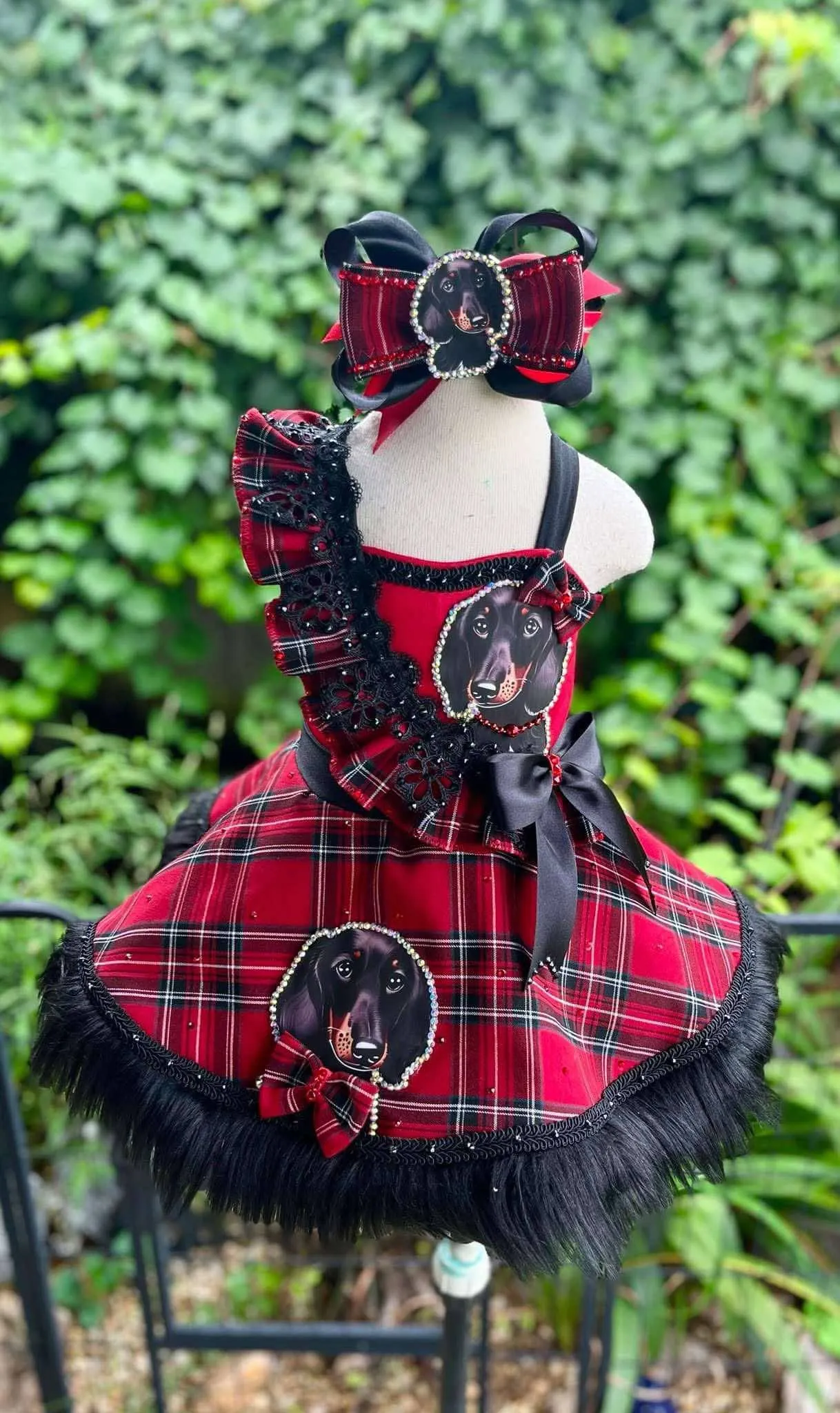 18/3 Dachshund, Christmas Wear/OOC- BY