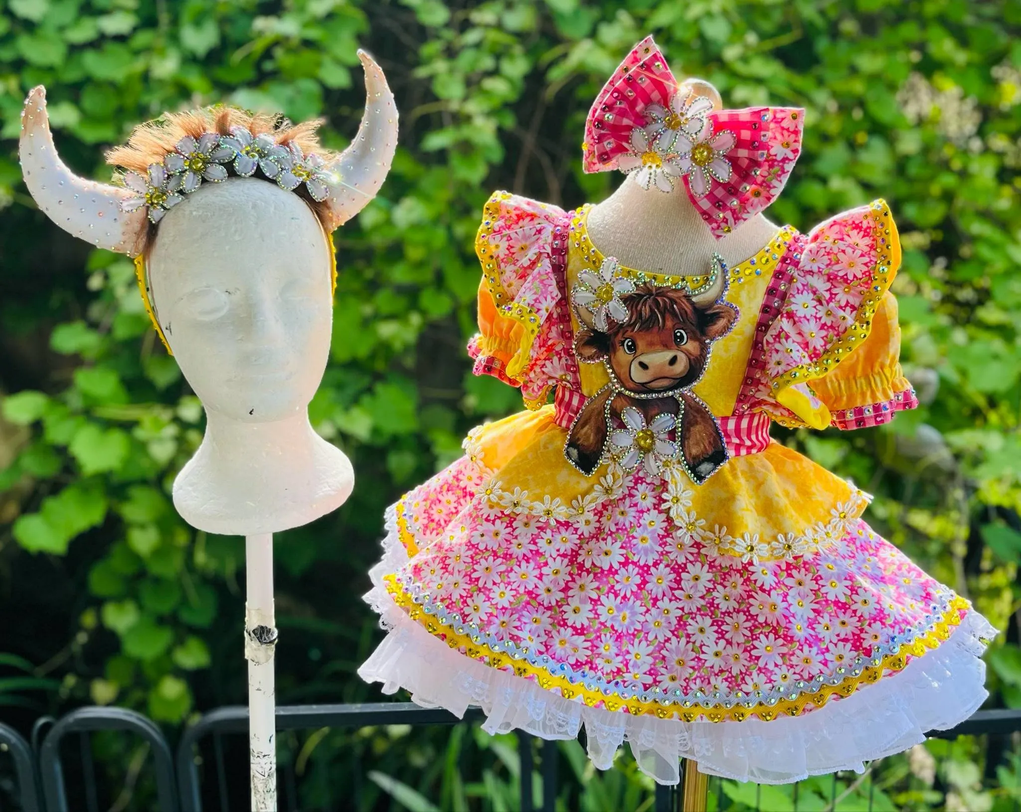 12/2 High Glitz Highland Cow OOC-Beth Young