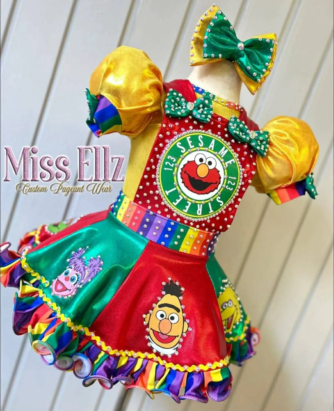 2/4 Miss Ellz Sesame Street OOC- Anna Baker