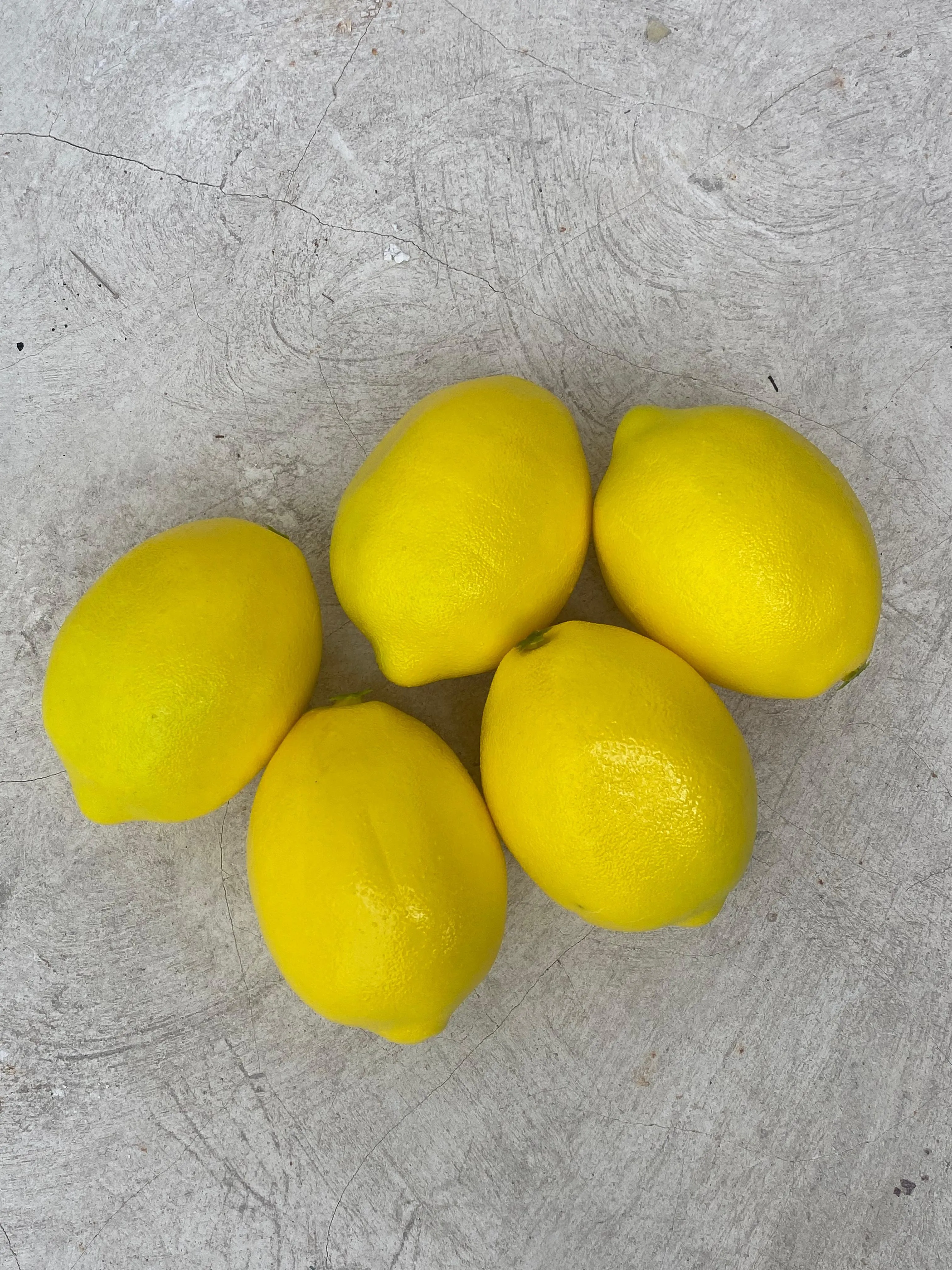 Artificial Lemons (Set)