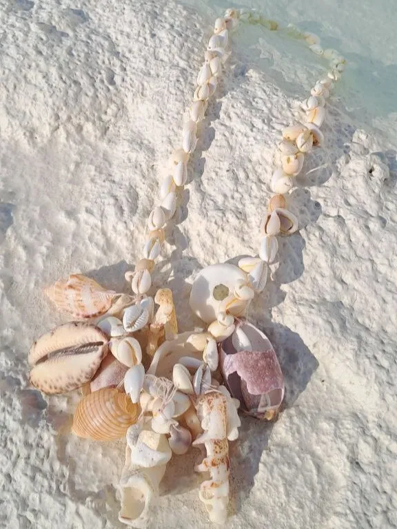 Medium Shell Necklace