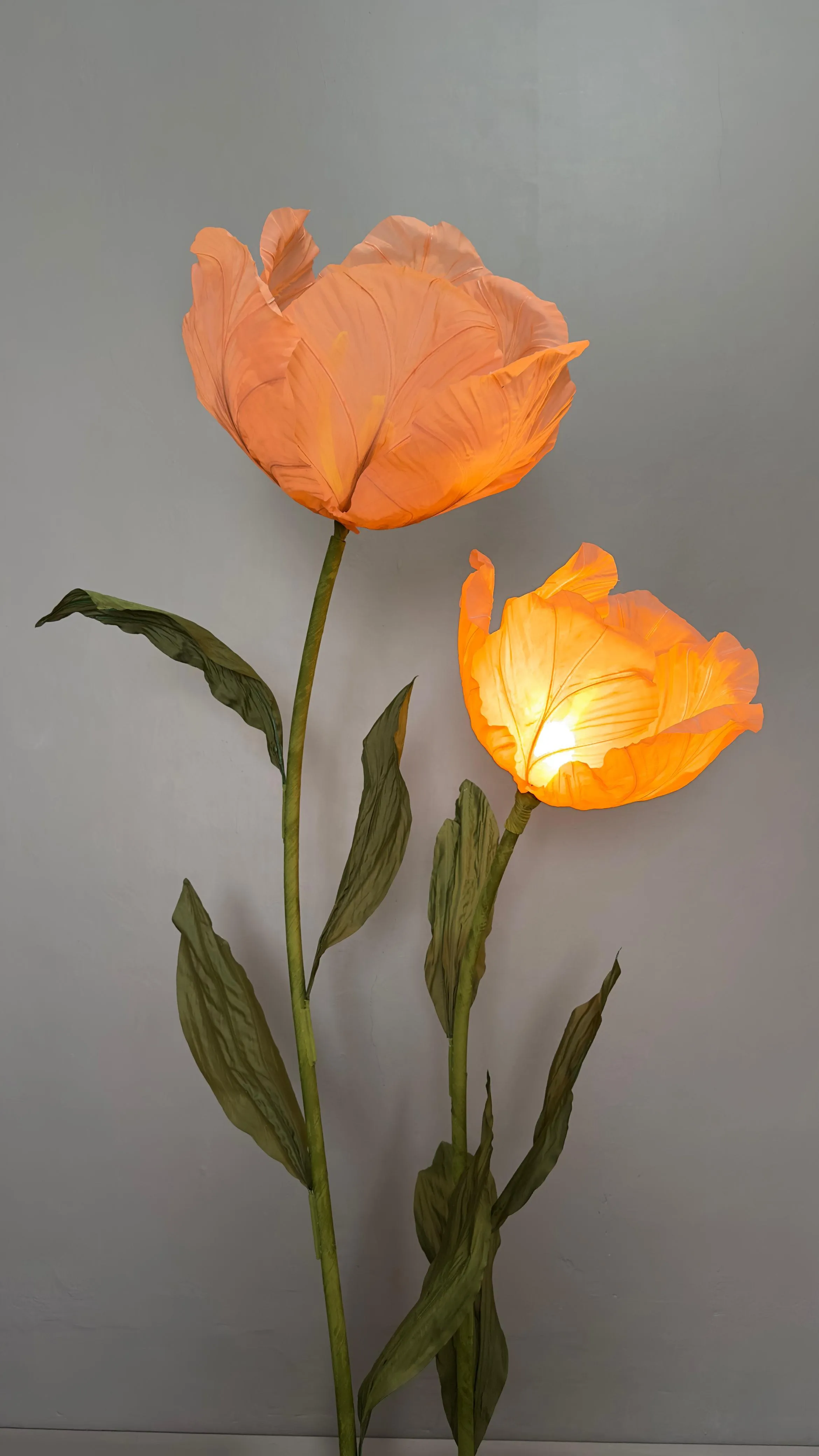 Giant Peach Pink Flowers
