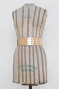  Metallic Gold Belt