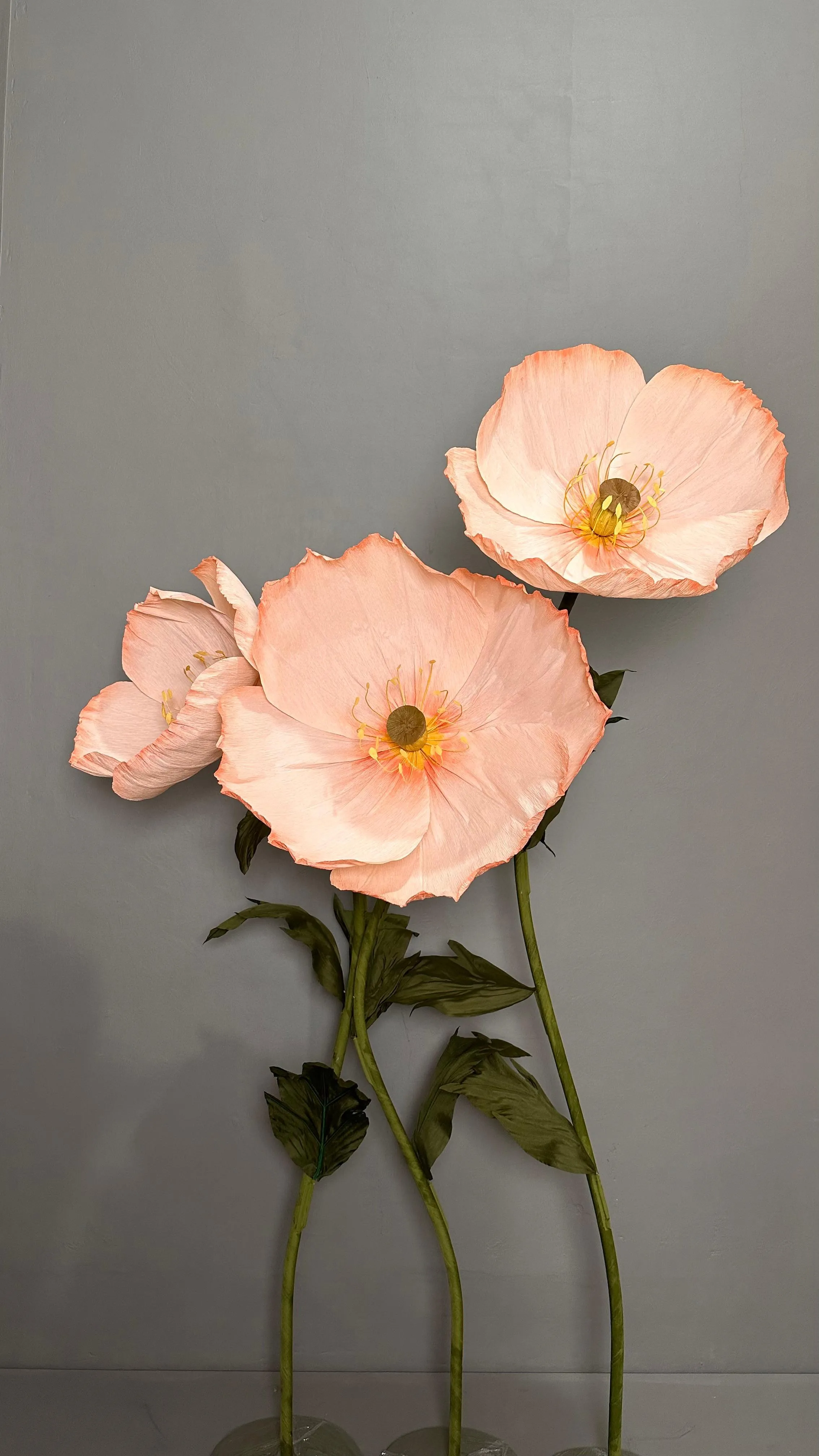 Giant Peach Flowers
