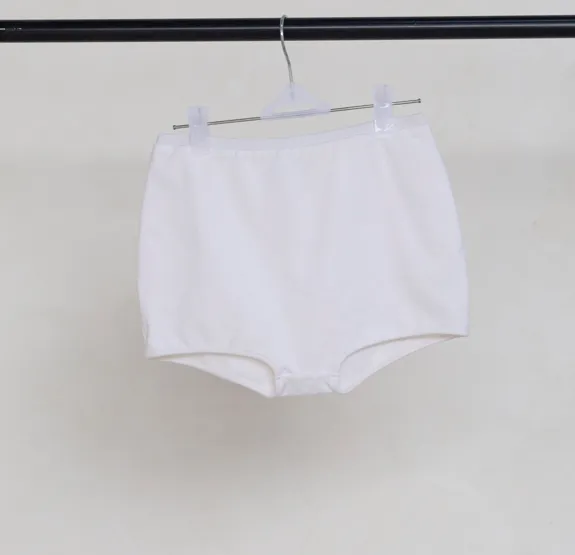 White High Waisted Briefs