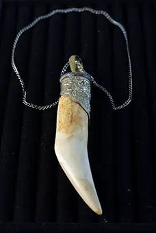 Antique Horn Silver Necklace