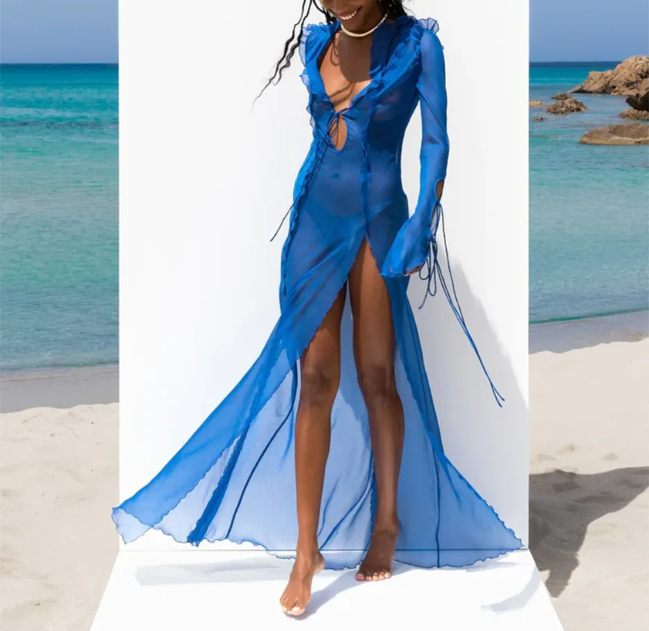 Sheer Blue Dress