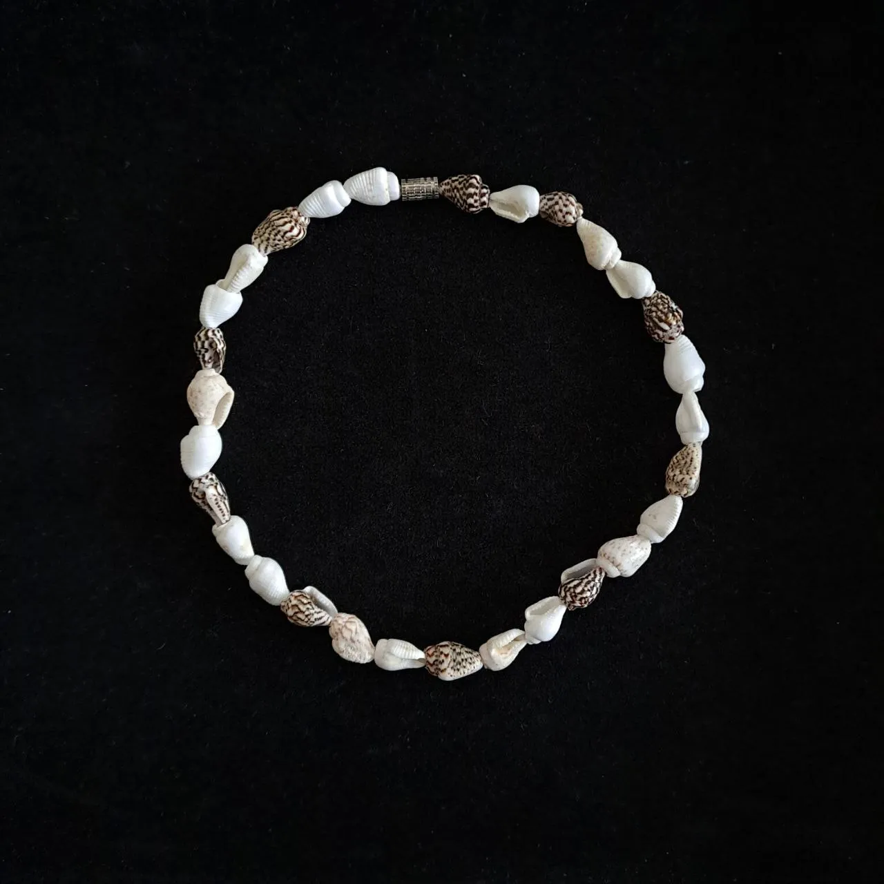 Tiny Shells Choker Necklace