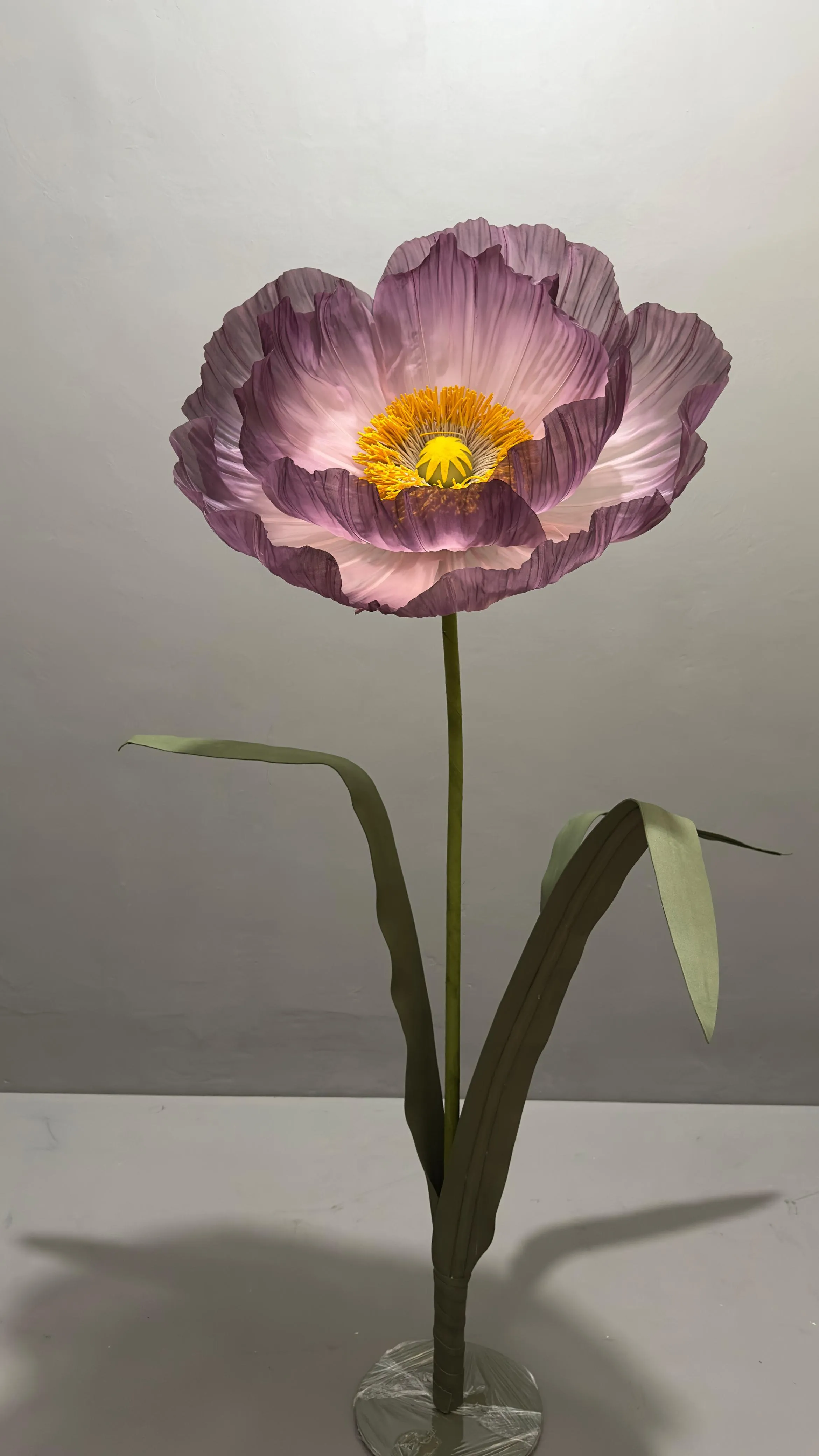 Giant Violet Flower
