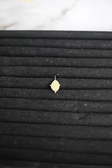Unkown Oval Pendant