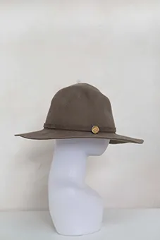 Brown Wide Brim Fedora Hat