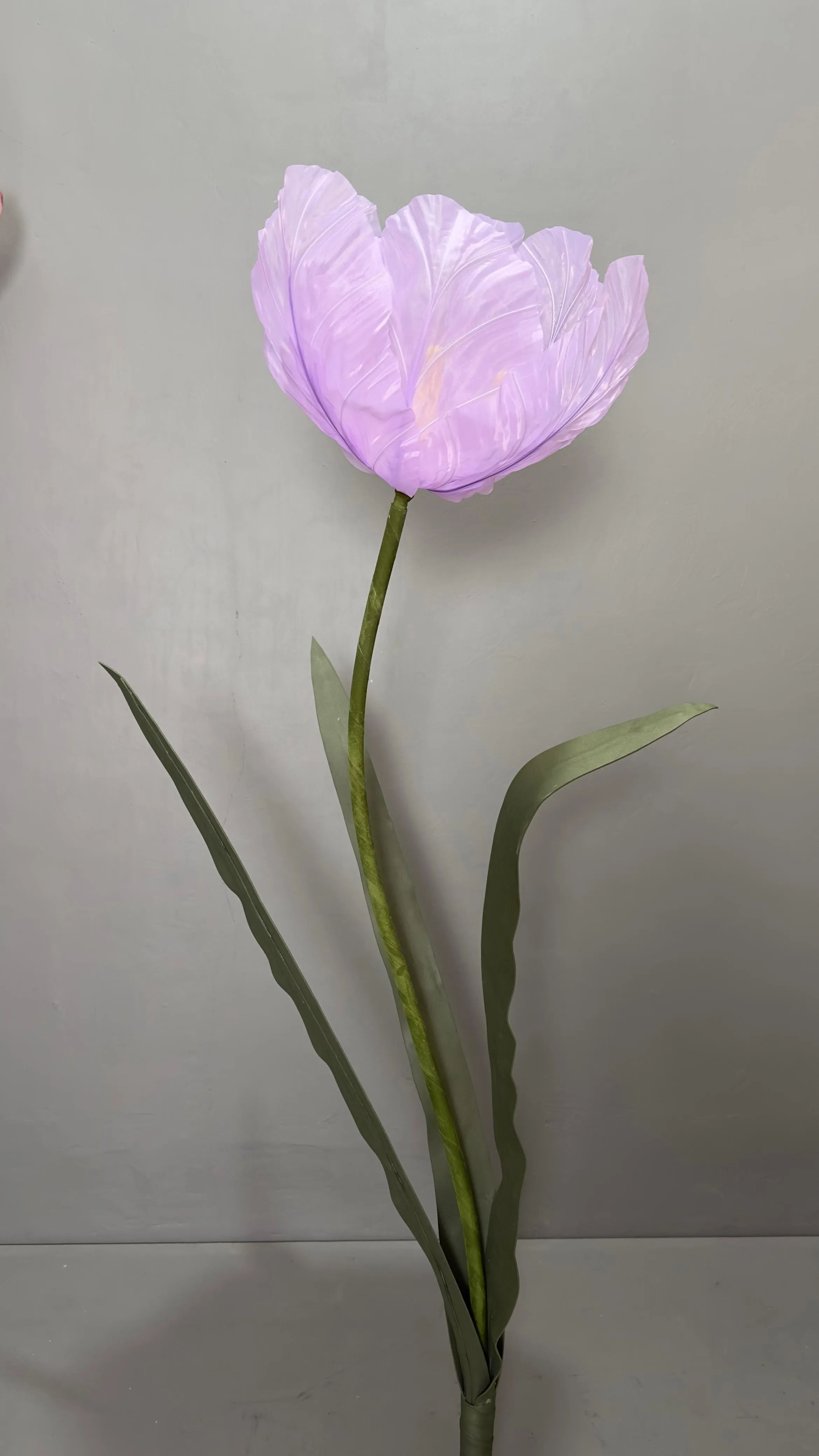 Giant Lilac Flower