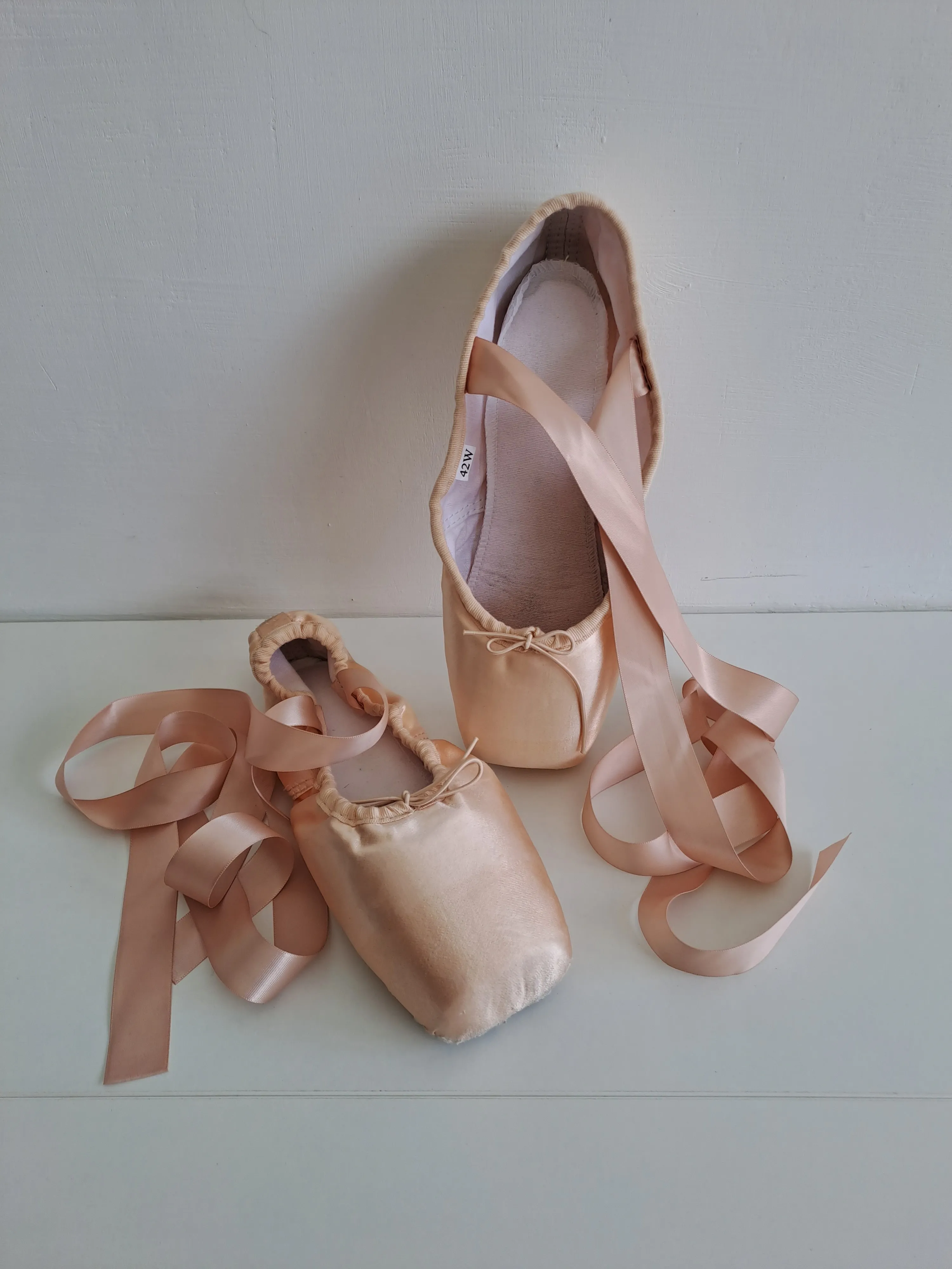 Pink Pointe Ballet Shoes
