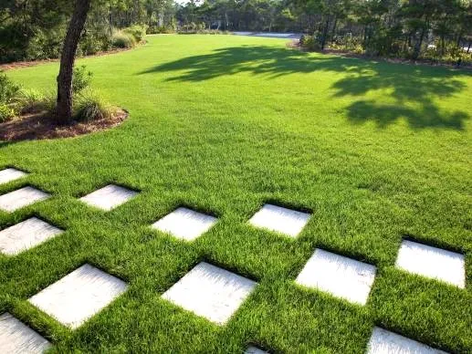 Lawn Renovation collection image