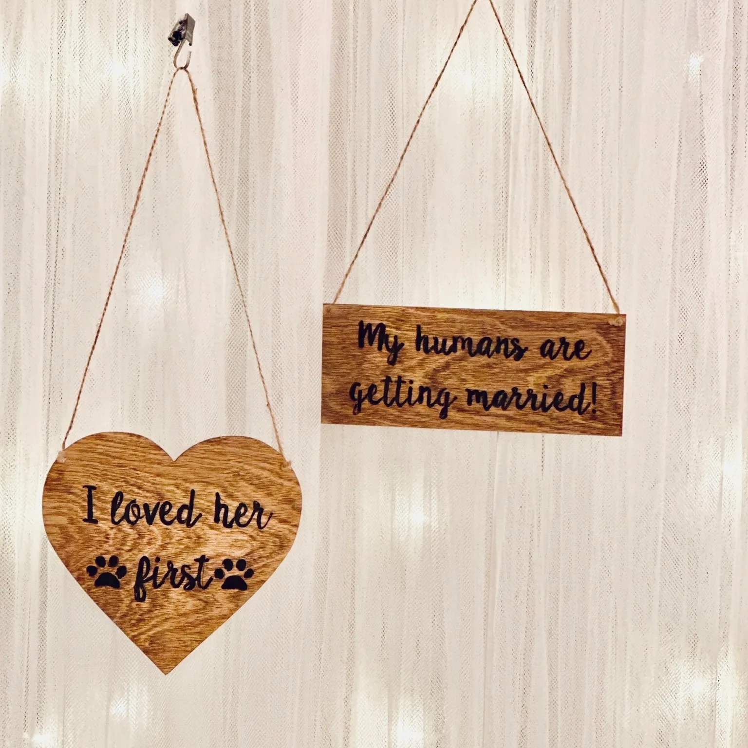 Pet- My Humans Are Getting Married