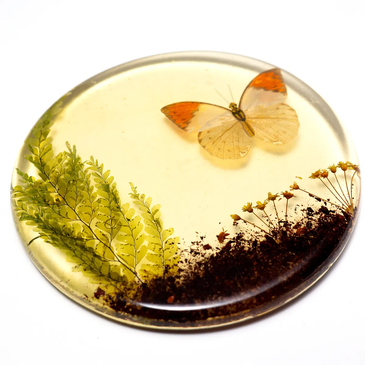 Vintage Lucite Butterfly Flower Nature Trivet 60s Resin Foliage 6.5" Pot Holder