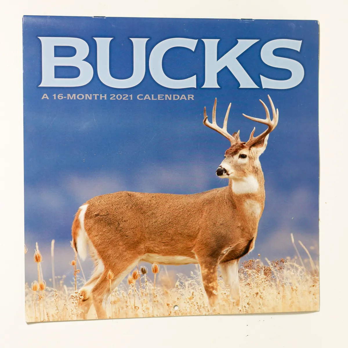 Calendar 2021 Whitetail Buck Wildlife Wall Nature